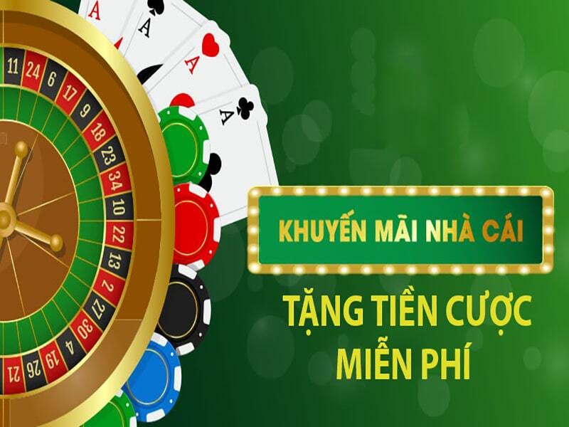 Điều khoản và điều kiện về chương trình khuyến mãi