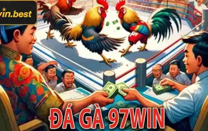 Đá Gà 97WIN – Tìm Hiểu Kèo Cược Và Một Vài Mẹo Chơi Hiệu Quả